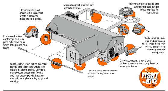 NYS DOH - Mosquito Breeding Sites